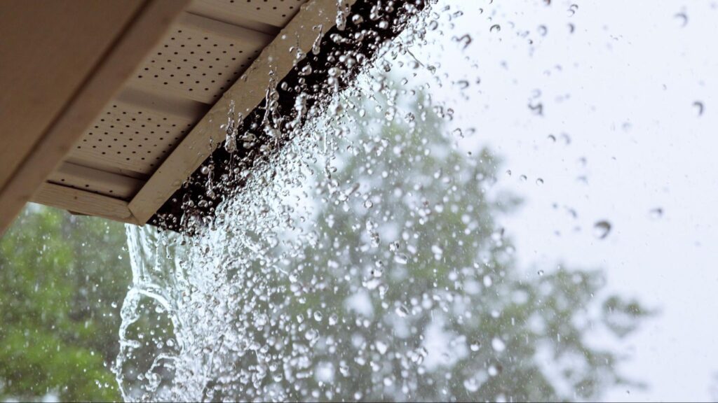 Heavy rain and strong winds blowing palm trees in a South Florida residential neighborhood during a summer downpour.